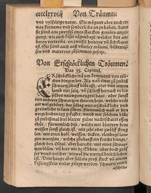 Seite 