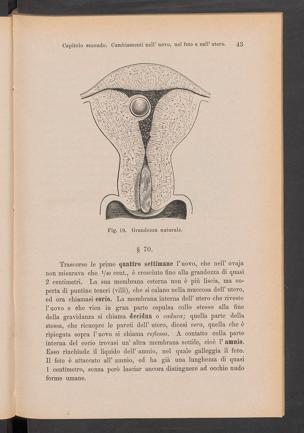 Pagina 