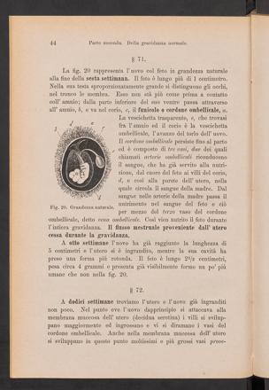 Pagina 