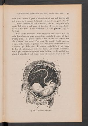 Pagina 
