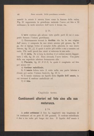 Pagina 