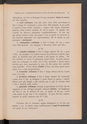 Pagina 