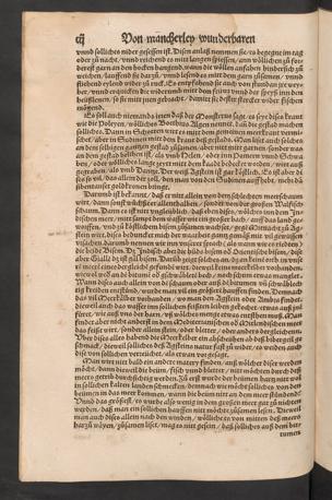 Seite 