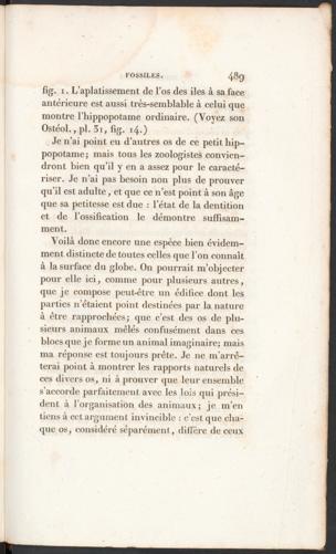 Seite 