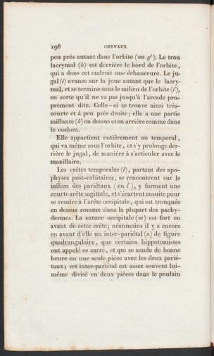 Seite 