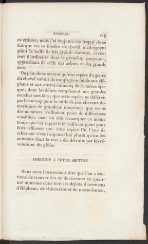 Seite 
