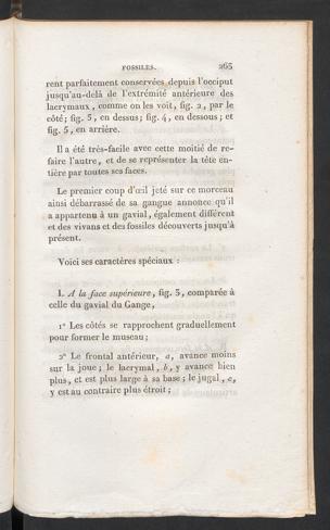 Seite 