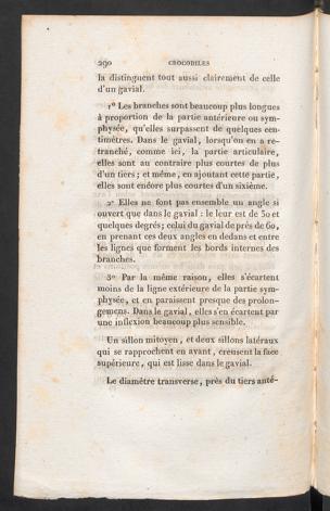 Seite 