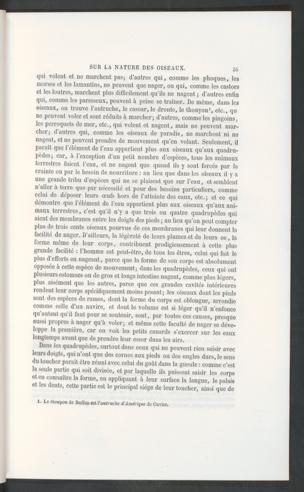 Seite 