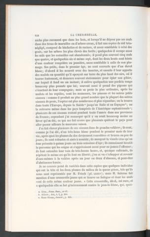 Seite 