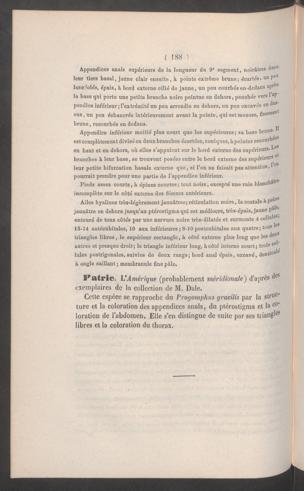Seite 