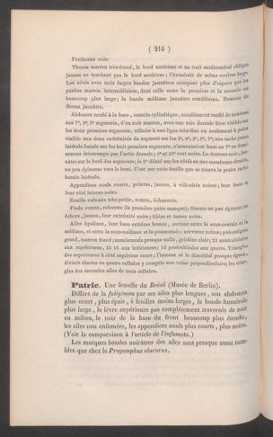 Seite 