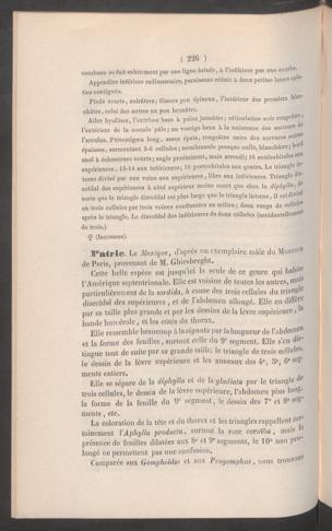 Seite 