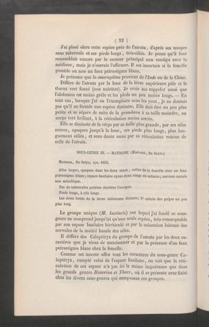 Seite 