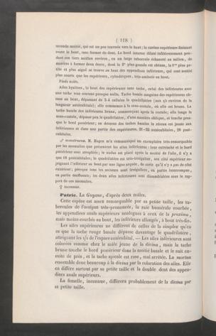 Seite 