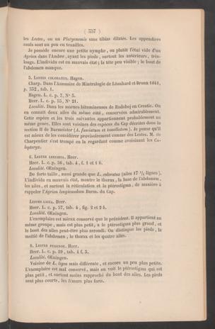 Seite 
