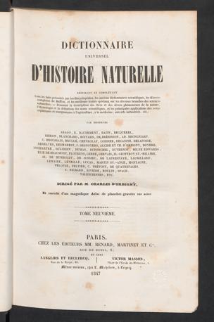 Seite 
