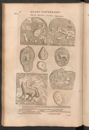 Seite 