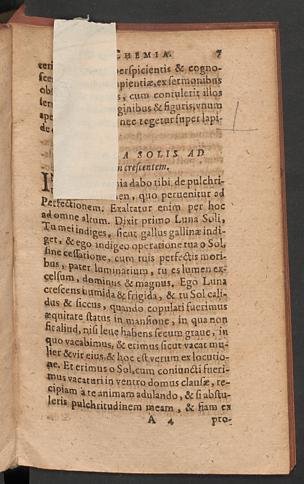Pagina 