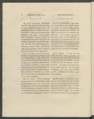 Pagina 