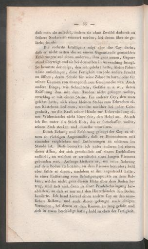 Seite 
