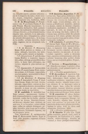 Seite 