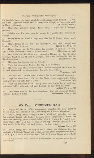 Seite 