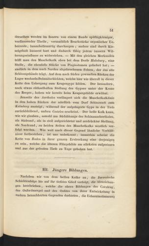 Seite 