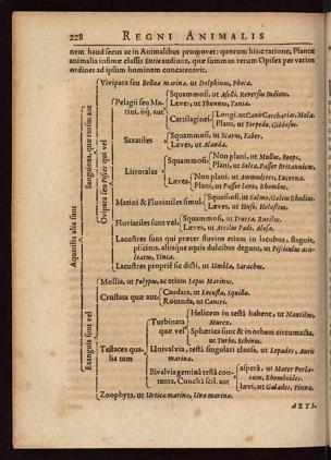 Seite 