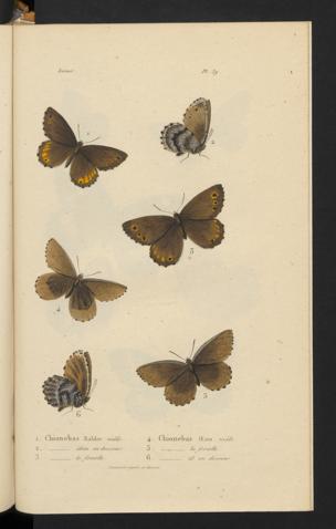 Seite 
