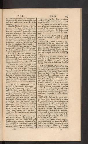 Seite 
