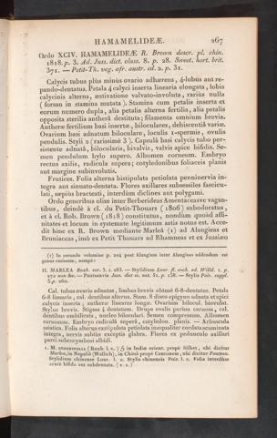 Seite 