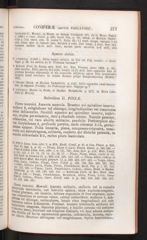 Seite 