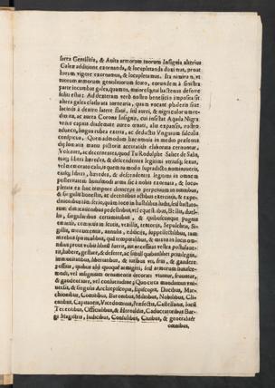 Pagina 