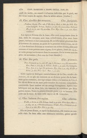 Seite 