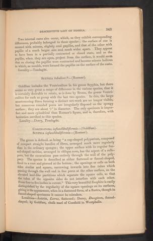Seite 