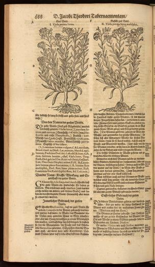 Seite 