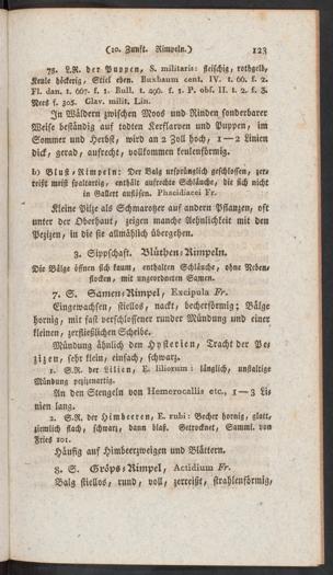 Seite 
