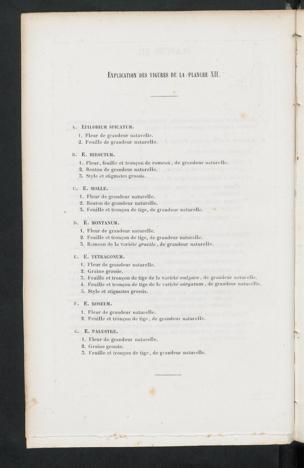 Seite 