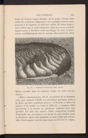 Seite 