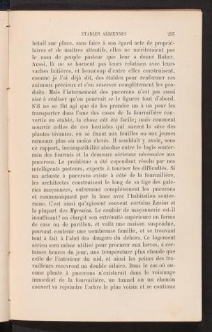Seite 