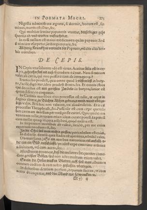 Seite 