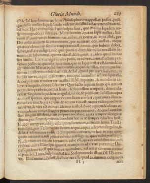 Seite 