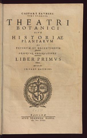 Pagina 