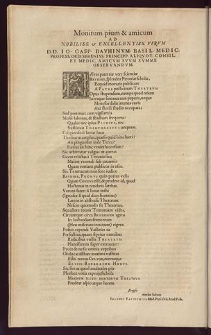 Pagina 
