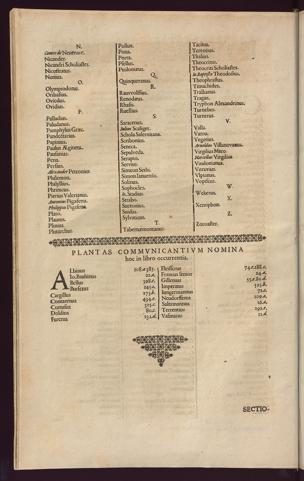 Pagina 