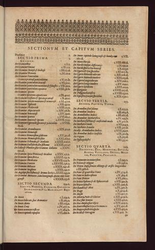 Pagina 
