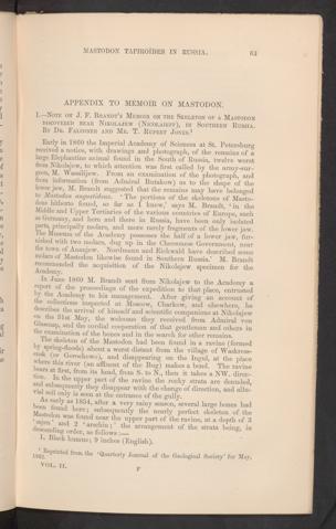 Seite 