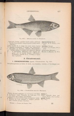 Seite 