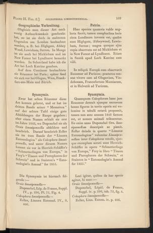 Seite 